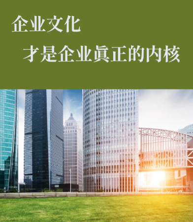 广元市殡葬救助资金使用效益审计方法